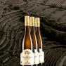 Zöhrer - Die Tradition lebt!, © Weingut Zöhrer Zöhrer - Die Tradition lebt!, © Weingut Zöhrer