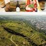 Zöhrer - Riede Wachtberg, © Weingut Zöhrer Luftaufnahme von Weinbergen mit Stadt im Hintergrund, darüber Weinflaschen und Trauben.