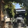 Gastgarten, © Doris Winkler Ein gemütlicher Gastgarten mit Tischen und Stühlen, umgeben von grünen Weinreben und Sonnenschein.