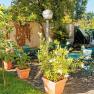 Garten, © Christoph Sammer Garten, © Christoph Sammer
