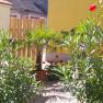 Ein kleiner Garten mit Palmen, Oleander und bunten Blumen vor einem gelben Geb&auml;ude.
