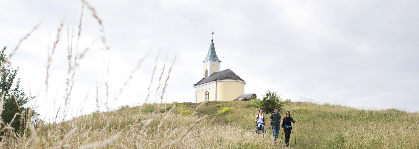 Jakobsweg Weinviertel, © Weinviertel Tourismus / Wurnig