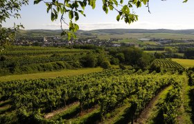 Landschaft, © Weinviertel Tourismus / Mandl