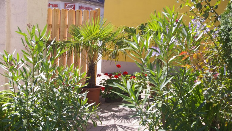 Ein kleiner Garten mit Palmen, Oleander und bunten Blumen vor einem gelben Geb&auml;ude.