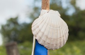 Scallop shell, &copy; Weinviertel Tourismus / Lahofer