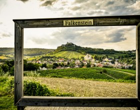 Blick auf Falkensteiner Burgruine, © Weinviertel Tourismus / POV_Herbst