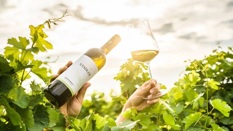 One hand holds a wine bottle, another a wine glass in a vineyard in the sunlight.