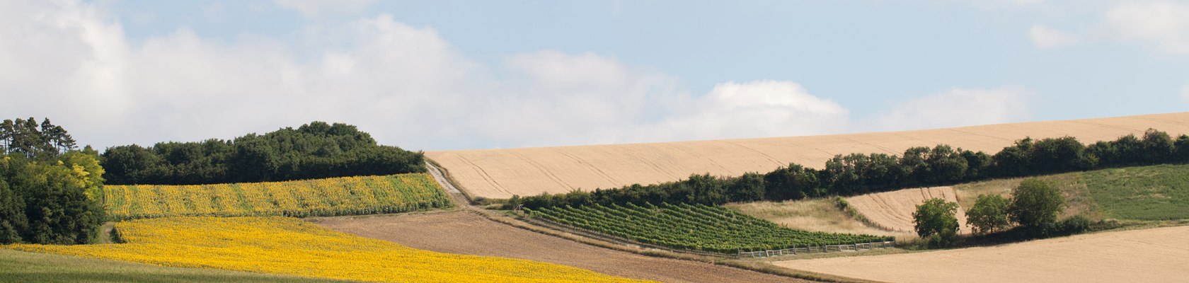 Landscape, © Weinviertel Tourismus / Wurnig