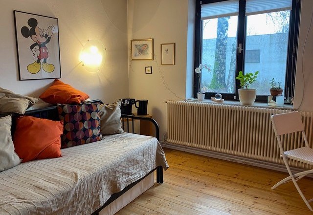 &Uacute;tuln&yacute; pokoj s denn&iacute; postel&iacute;, barevn&yacute;mi pol&scaron;t&aacute;ři, rostlinami na parapetu a plak&aacute;tem Mickey Mouse na zdi.