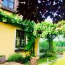 Ein gelbes Haus mit Weinreben und Gartenmöbeln im Vordergrund.