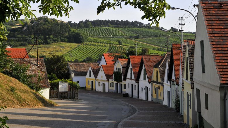 Kellergasse in Falkenstein, © Weinviertel Tourismus / Mandl