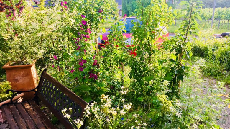 Garten mit Bank, Blumen und Bäumen, im Hintergrund ein rotes Auto und ein Haus.
