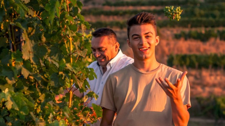 Zwei Männer in einem Weinberg, einer jongliert mit Trauben.