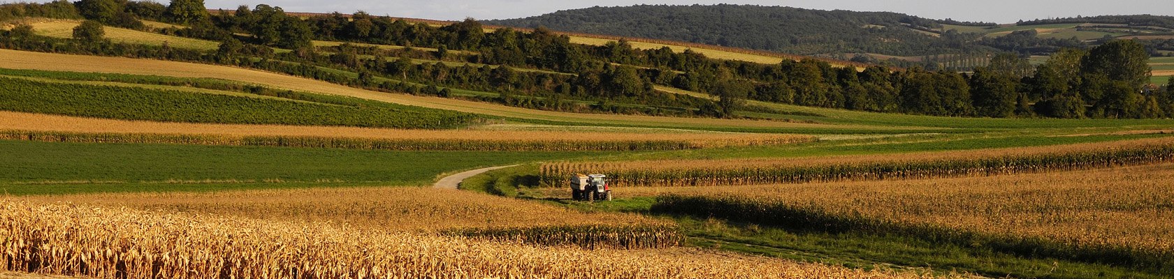 Landschaft bei Harmannsdorf, © Weinviertel Tourismus / Mandl