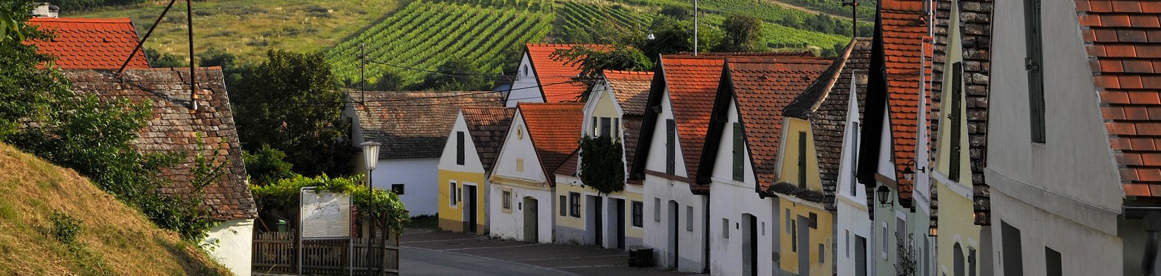 Kellergasse Falkenstein, © Weinviertel Tourismus / Mandl