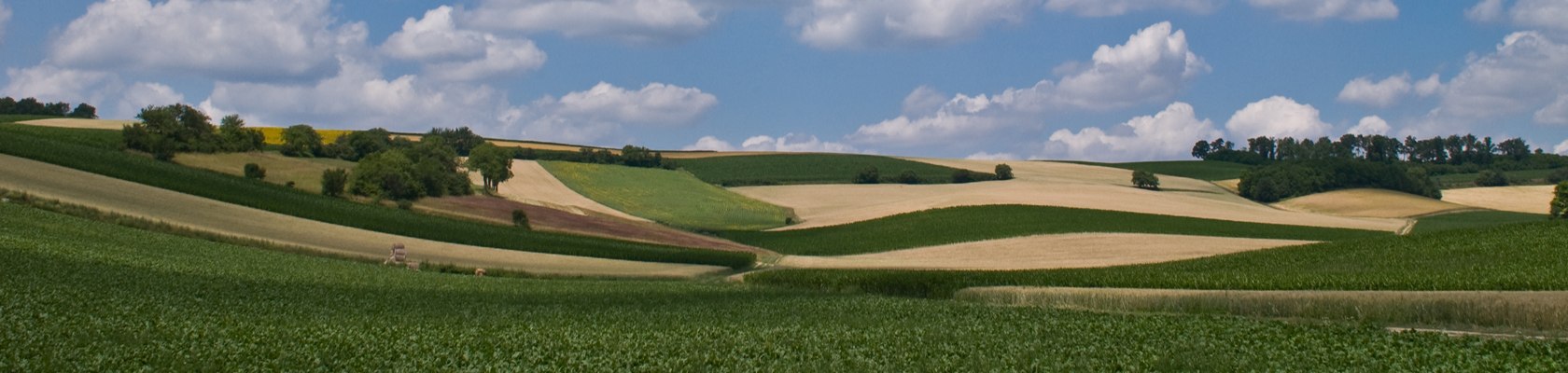 Weinviertler Landschaft, © Weinviertel Tourismus / Mödl