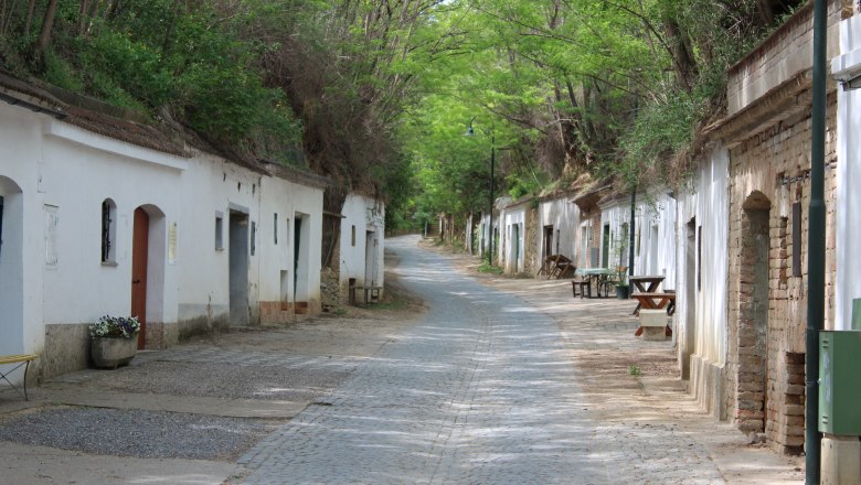 Kellergasse Radyweg in Poysdorf, © Weinviertel Tourismus / Krönigsberger