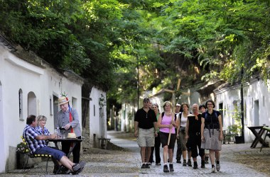 Pilger in der Kellergasse Radyweg, © Weinviertel Tourismus / Horvath