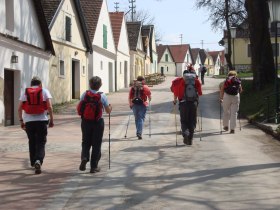 Kellergasse Falkenstein, &copy; Weinviertel Tourismus / Kraus