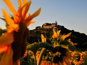 Falkenstein castle ruins, &copy; Weinviertel Tourismus / Mandl