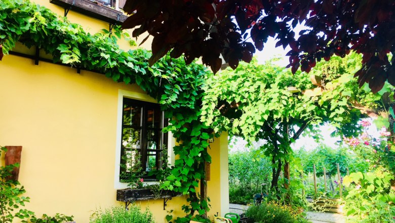 Ein gelbes Haus mit Weinreben und Gartenmöbeln im Vordergrund.