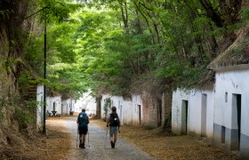 Pilgern durch die Kellergasse Radyweg in Poysdorf, © Weinviertel Tourismus / Mandl