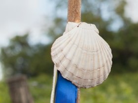 Mu&scaron;le hřebenatky, &copy; Weinviertel Tourismus / Lahofer