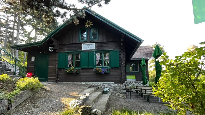 Rustik&aacute;ln&iacute; dřevěn&aacute; chata se zelen&yacute;mi okenicemi a truhl&iacute;ky na květiny, obklopen&aacute; stromy a zahradn&iacute;m n&aacute;bytkem.