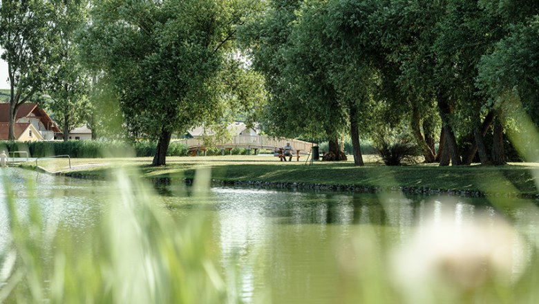 Klidn&yacute; rybn&iacute;k se stromy a mostem v pozad&iacute;.