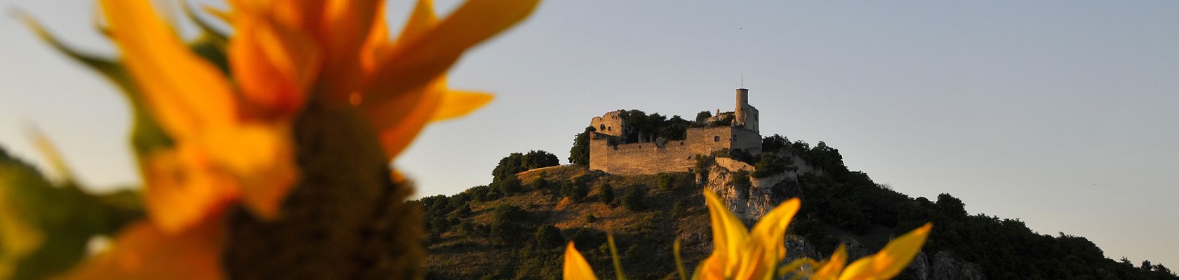 Falkenstein, © Weinviertel Tourismus / Mandl