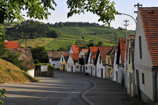 Falkenstein, © Weinviertel Tourismus / Mandl