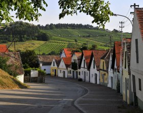 Kellergasse Falkenstein, © Weinviertel Tourismus / Mandl