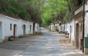 Poysdorf, Kellergasse Radyweg, © Weinviertel Tourismus / Krönigsberger