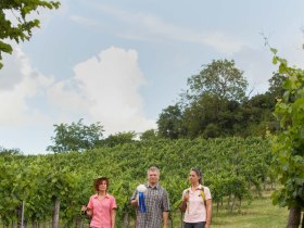 Pilgern durch die Weing&auml;rten, &copy; Weinviertel Tourismus / Lahofer