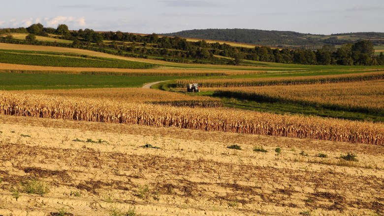 Landschaft bei Harmannsdorf, © Weinviertel Tourismus / Mandl