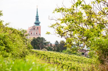 Stadtpfarrkirche Poysdorf, © Martin Grabmayer