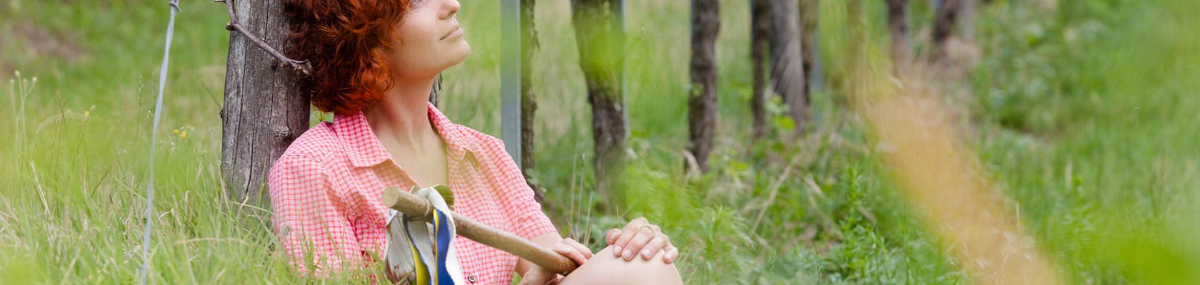 Poutn&iacute;k, &copy; Weinviertel Tourismus / Lahofer