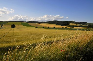 Ladendorf, © Weinviertel Tourismus / Mandl