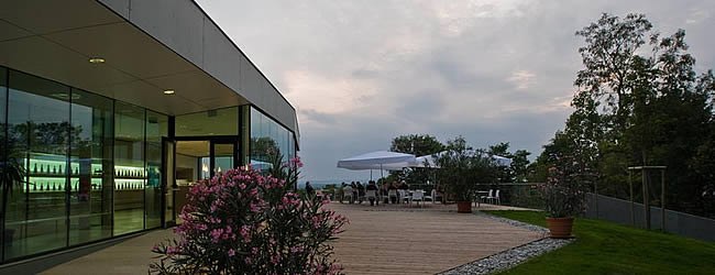 Moderne Terrasse mit Glasfassade und Pflanzen, Abendstimmung.