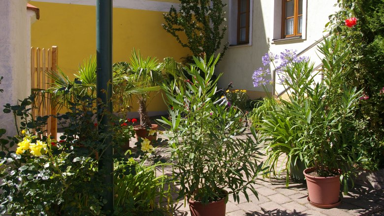Ein sonniger Innenhof mit verschiedenen Pflanzen in T&ouml;pfen, darunter Palmen und bl&uuml;hende Str&auml;ucher, vor einer gelben Hauswand.