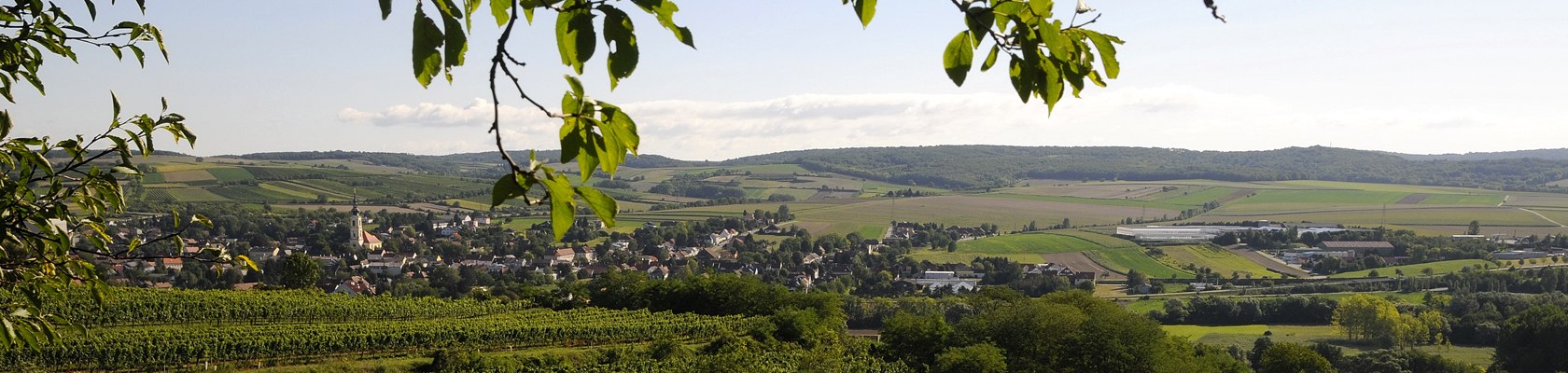 Landscape, © Weinviertel Tourismus / Mandl