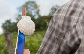 Jakobsmuschel, © Weinviertel Tourismus / Lahofer