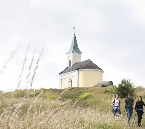 Jakobsweg Weinviertel, © Weinviertel Tourismus / Wurnig