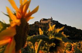 Falkenstein, © Weinviertel Tourismus / Mandl