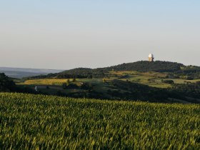 View of the Buschberg, &copy; Weinviertel Tourismus / Mandl