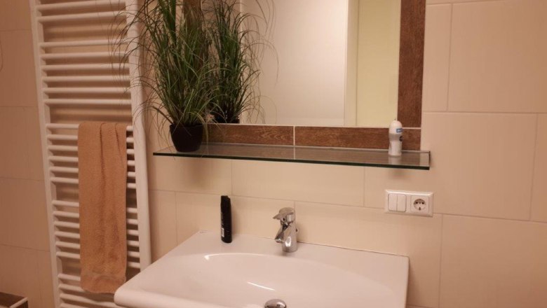 Bathroom with washbasin, mirror, towel rail and plant.